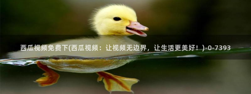 禁止的爱善良的未删减版西瓜影院