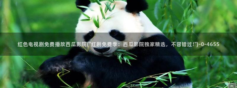 西瓜影院免费在线看