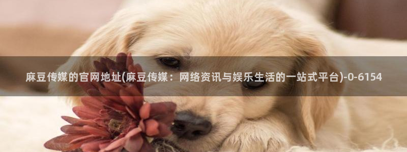 麻豆视频 热门在线看：麻豆传媒的官网地址(麻豆传媒：网络资讯与娱乐生活的一站式平台)