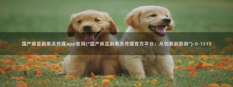 麻豆视频站在线看：国产麻豆剧果冻传媒app官网(\
