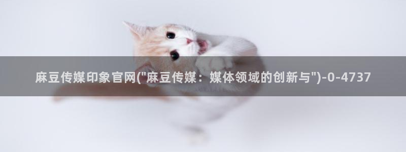 麻豆 热门资源：麻豆传媒印象官网(\