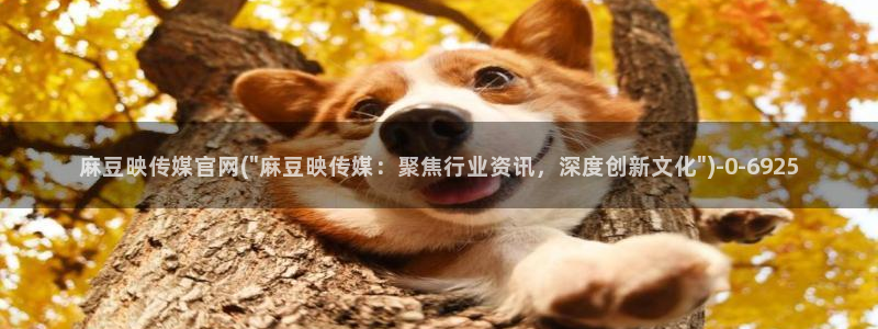 麻豆视频 推荐在线看：麻豆映传媒官网(\
