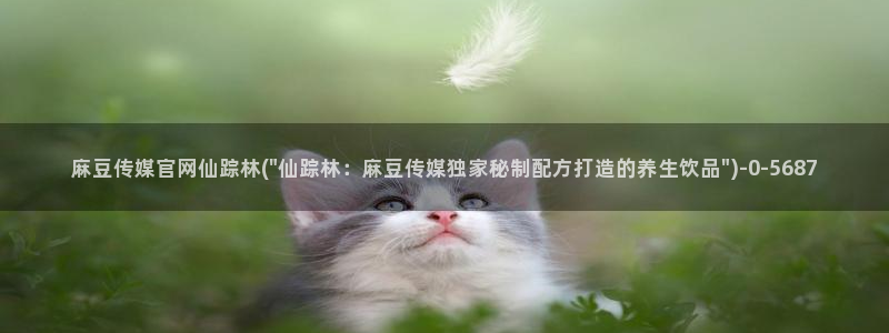 麻豆 高清更新：麻豆传媒官网仙踪林(\