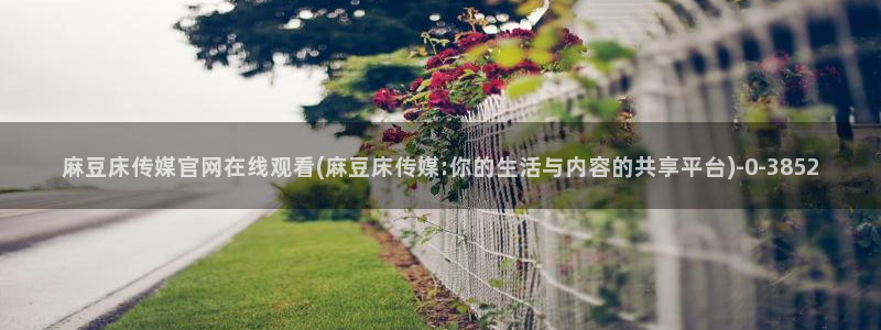 麻豆视频 合集页面：麻豆床传媒官网在线观看(麻豆