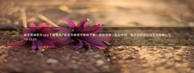 麻豆视频资源页面：麻豆传媒软件app下载官网(\