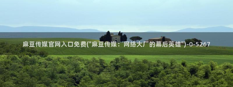 麻豆视频资源专区：麻豆传媒官网入口免费(\