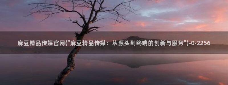 麻豆 合集资源：麻豆精品传媒官网(\