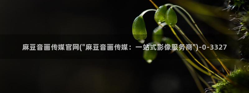麻豆视频 站资源：麻豆音画传媒官网(\