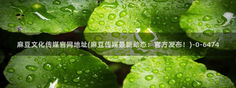 麻豆视频下载合集：麻豆文化传媒官网地址(麻豆传媒最新动态：官方发布！)