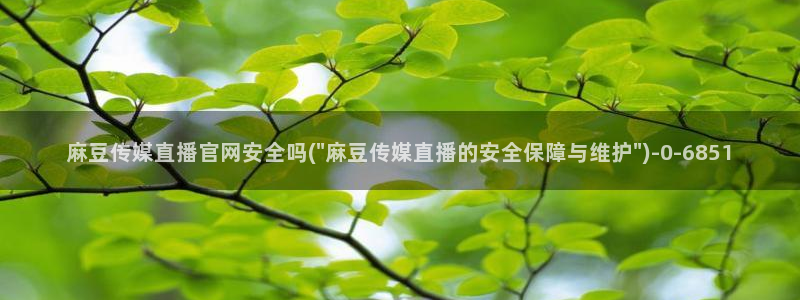 麻豆视频 合集视频：麻豆传媒直播官网安全吗(\