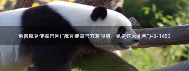 麻豆 高清推荐：免费麻豆传媒官网(\