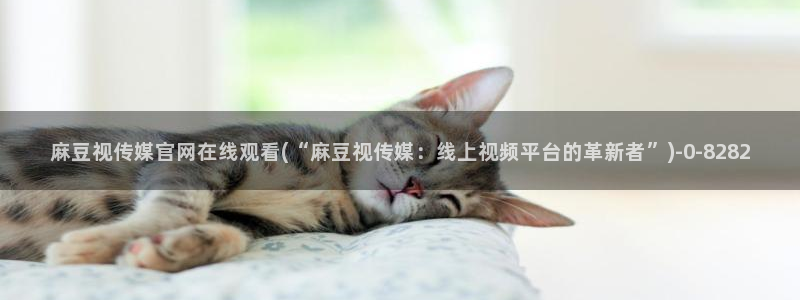 麻豆精选资源