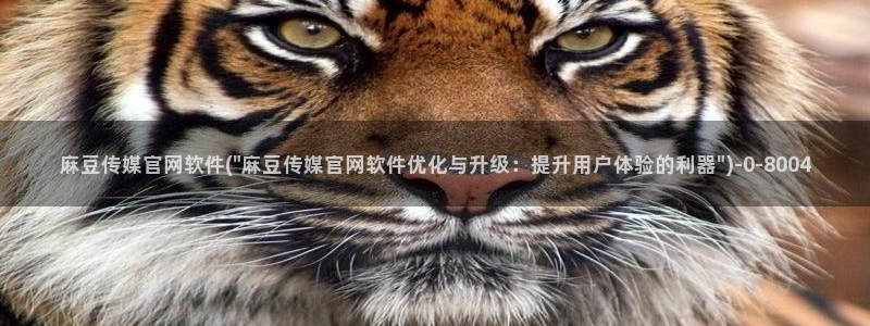 麻豆合集页面
