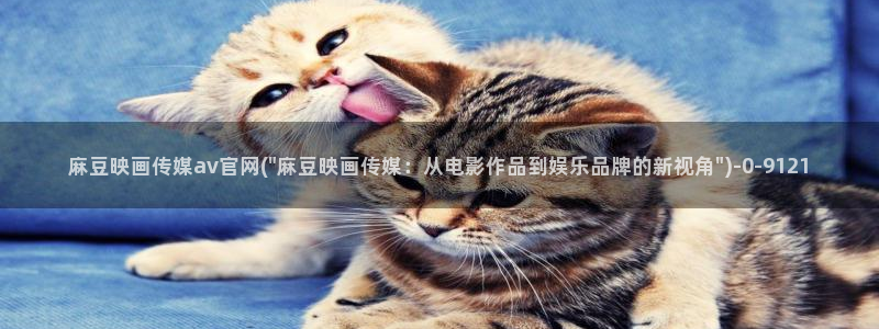 麻豆视频视频：麻豆映画传媒av官网(\